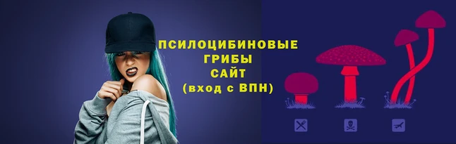 мескалин Переславль-Залесский