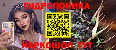 сатива Кинель