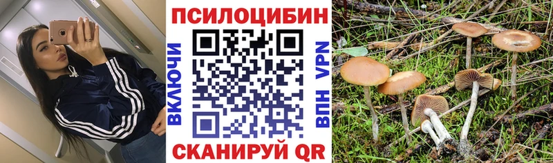 ссылка на мегу зеркало  Среднеуральск  это наркотические препараты  Псилоцибиновые грибы мухоморы 