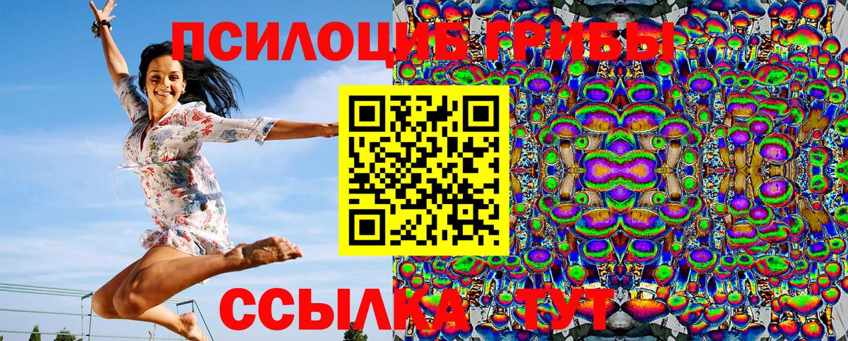 Галлюциногенные грибы Psilocybe Среднеуральск
