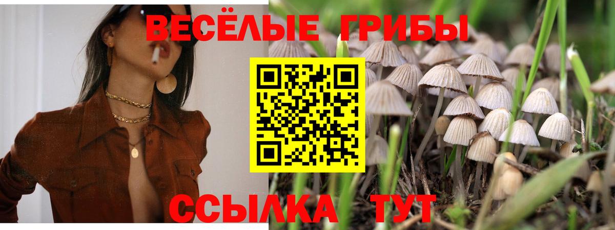Среднеуральск  Галлюциногенные грибы мицелий  Псилоцибиновые грибы GOLDEN TEACHER  Вход с VPN 